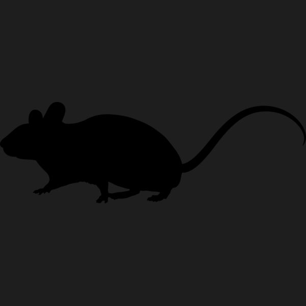 Mouse   Clipart 1 Thumbnail