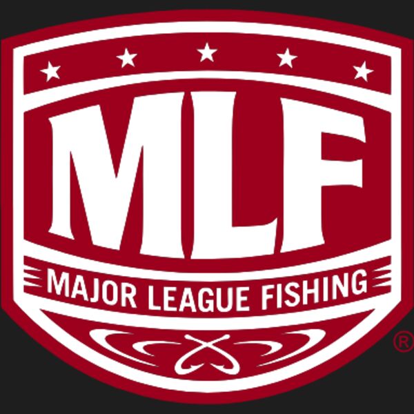 MLF Thumbnail
