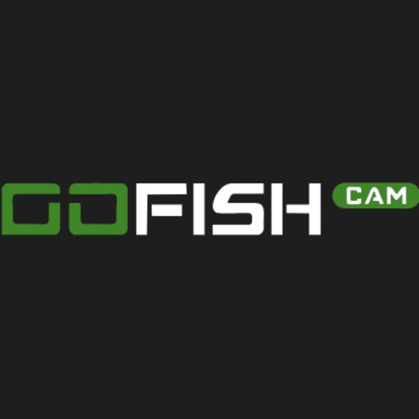 Go Fish Cam White Thumbnail
