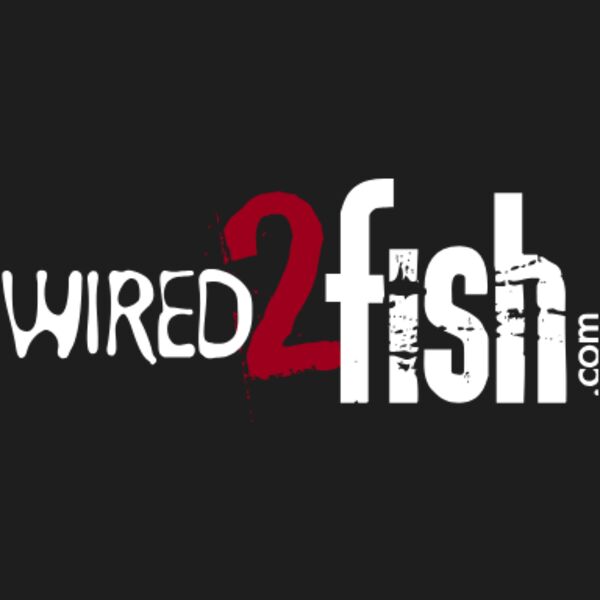 Wired 2 Fire White Thumbnail